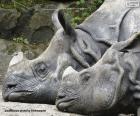 Два носорога отдыхают